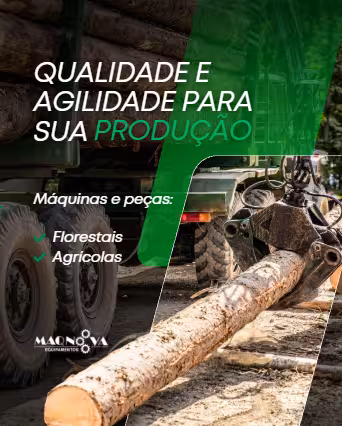 Captura de tela 2026-02-11 125749