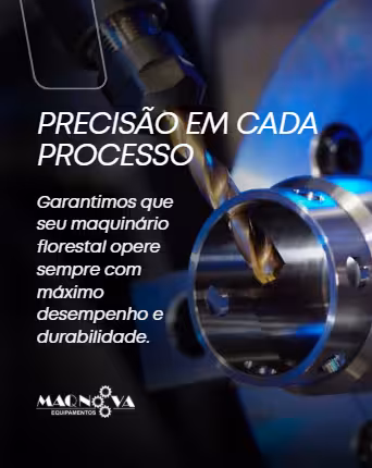 Captura de tela 2026-02-11 125807